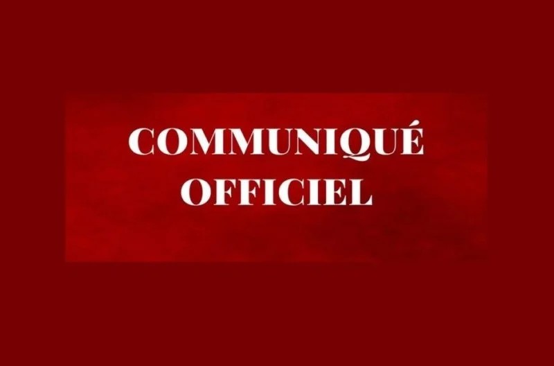 [Communiqué] Appel à projets dans le cadre de la table ronde économique des diasporas togolaise, africaine et afrodescendante